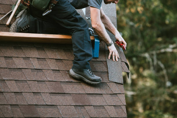 Best Roof Gutter Cleaning  in Gold Beach, OR